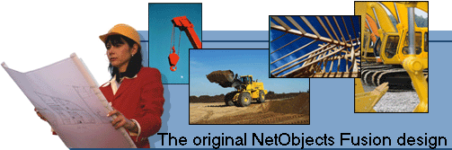 The original NetObjects Fusion design